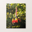 Recherche de aras puzzles Oiseaux