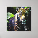 Recherche de de faune impressions sur toile Jaguar