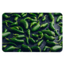 Recherche de poivron magnets Vert