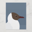 Recherche de oiseaux marins cartes postales Pour elle