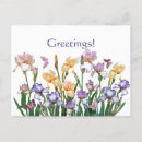 Recherche de papillons roses cartes postales Violet
