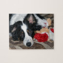 Recherche de chiens de berger australiens puzzles Noël