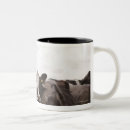 Recherche de nature scenes tasses Animaux