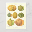 Recherche de benin cartes postales Bénin