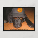 Recherche de chien triste cartes postales Vacances