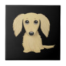 Recherche de chiots carreaux Pour tous