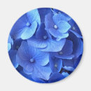 Recherche de hortensia bleu magnets Hortensias