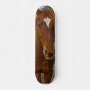 Recherche de cheval skateboards Photographie