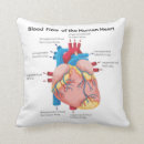 Recherche de sang de mon coussins Famille