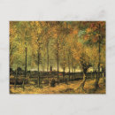 Recherche de arbre peuplier cartes postales Automne