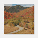 Recherche de guêpe magnets Paysage