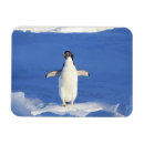 Recherche de drôles magnets Bleu