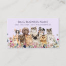 Recherche de pug Bouledogue français