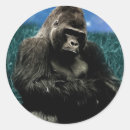 Recherche de apex autocollants Jungle