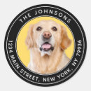 Recherche de petit chien blanc autocollants Minimaliste