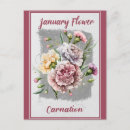 Recherche de oeillets rouges cartes postales Floral