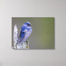 Recherche de gary impressions sur toile Nature