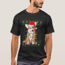 Recherche de gallois chapeaux Corgi