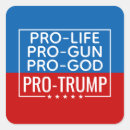 Recherche de no guns autocollants Conservateur