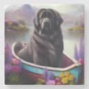 Recherche de terre neuve bar Chien