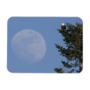 Recherche de aigle magnets Pleine lune