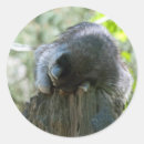 Recherche de sleeping autocollants Animal