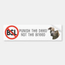 Recherche de bsl Chien