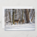 Recherche de parker vœux cartes Faune