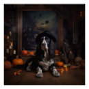 Recherche de cocker anglais posters Chien