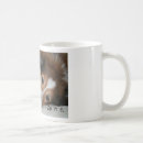 Recherche de chiot berger tasses Chien de berger