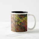 Recherche de cascade tasses Élégant