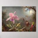 Recherche de orchidée de cattleya posters Martin johnson heade