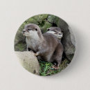 Recherche de loutre mignonne badges Nature