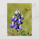 Recherche de lu cartes postales Nature