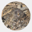 Recherche de gopher autocollants Faune