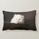 Recherche de américain coussins Mojo