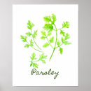 Recherche de persil posters Nourriture
