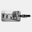 Recherche de kenya luggage tags Veau d'éléphant