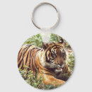 Recherche de tigre de sumatran porteclés Sauvage