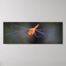 Recherche de macro posters Insecte