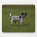 Recherche de canin tapis souris Laboratoire