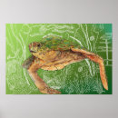 Recherche de tortue de mer posters La vie