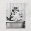 Recherche de lit de chat cartes postales Mignon
