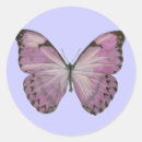 Recherche de pourpre de papillon autocollants Nature