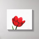 Recherche de images de tulipe Fleur