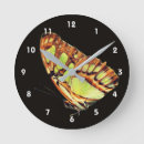 Recherche de papillon jaune horloges Insecte