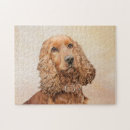 Recherche de cocker anglais puzzles Chien