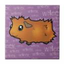 Recherche de cobaye carreaux Animal