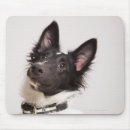 Recherche de shetland tapis souris Vertical