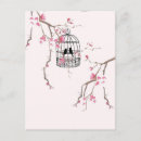 Recherche de cage oiseaux vintage cartes postales Rose